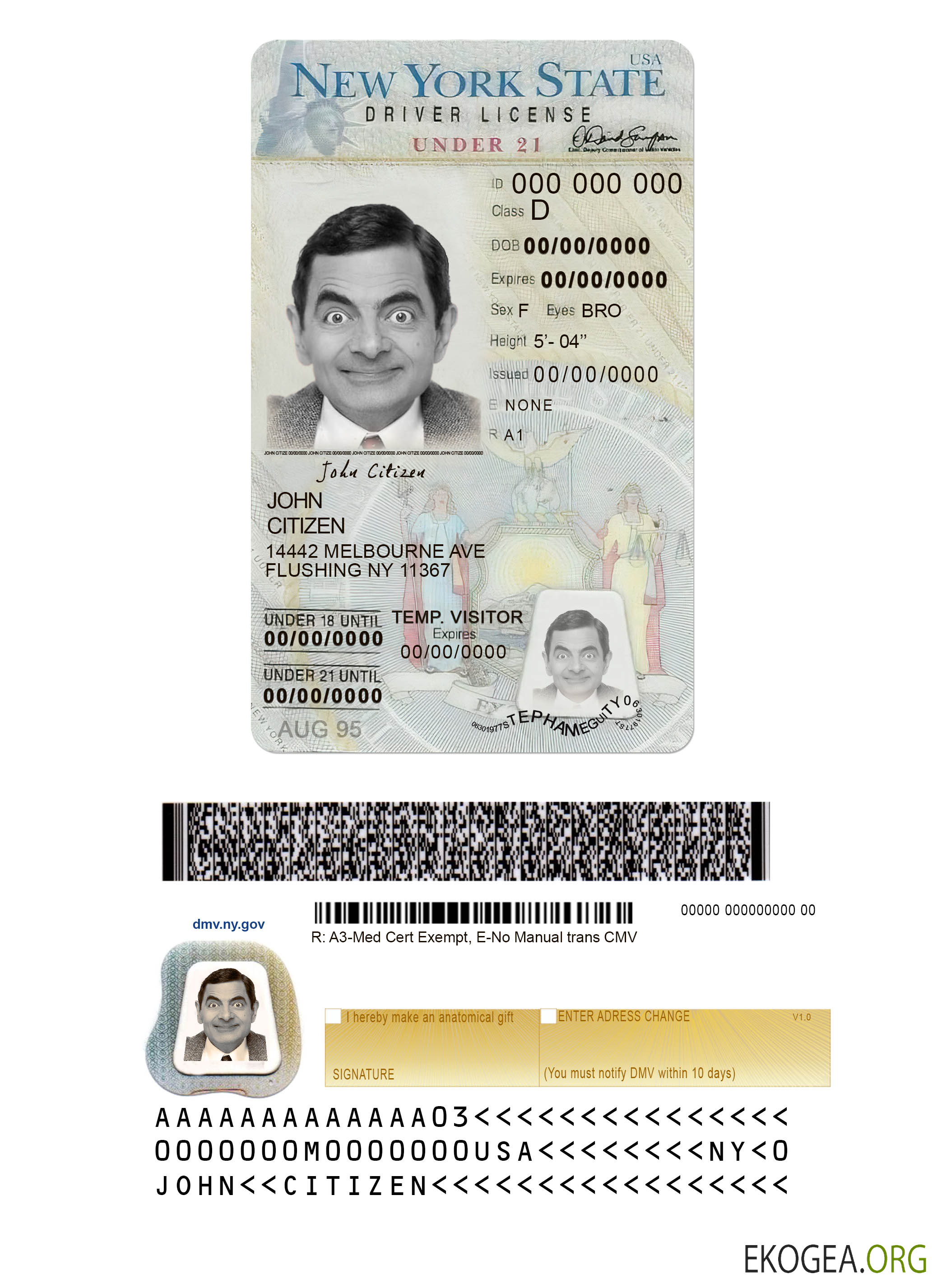 Usa New york driving license under 21 template